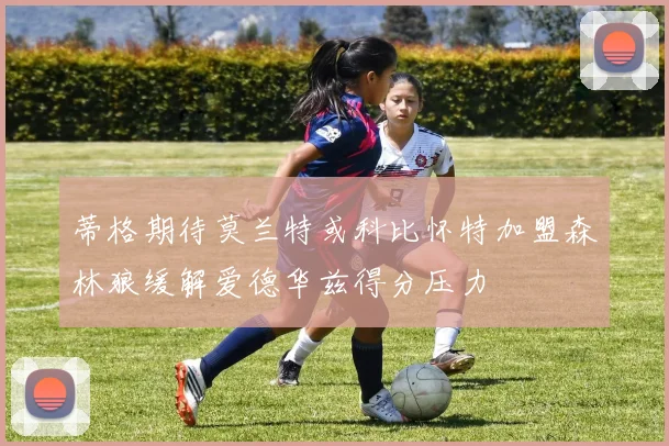 蒂格期待莫兰特或科比怀特加盟森林狼缓解爱德华兹得分压力