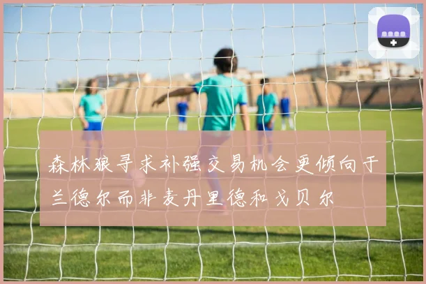 森林狼寻求补强交易机会更倾向于兰德尔而非麦丹里德和戈贝尔